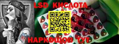 кокс Можга
