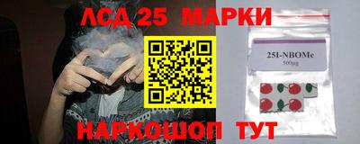 кокс Можга