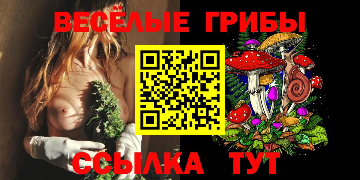 Галлюциногенные грибы Psilocybine cubensis  Вход с VPN  Курск 